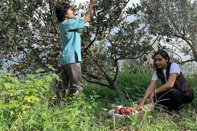 Image de A space for learning and living the practices of farming, yoga, and ceramics.