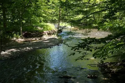 Image de Modern House, Wild Gardens, Peaceful Creeks - E 1