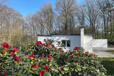 Image de Quiet vacation home for max. 4 people in the most beautiful natural surroundings at the Dhünntalsperre dam