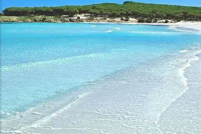 Image de Relax Holiday home Budoni (San Pietro) 5minutes from the most beautiful beaches