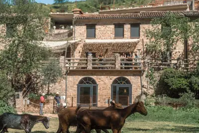 Image de Eco-Finca Cueva del Gato, ideal for families with pets surrounded by nature.