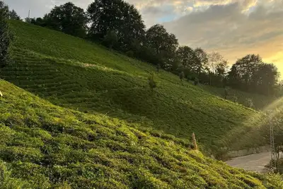 Image de Ayder Yaylasına 30 dk mesafede Doğa içinde Bungalov
