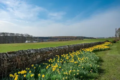 Image de Lakeside Cottage, Alice in Capheaton, Northumberland - sleeping 4 guests in two bedrooms