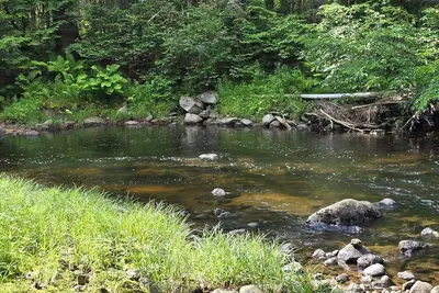 Image de River Retreat –Tranquil Getaway, Fish, Hike & Explore from Your Back Door