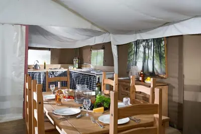 Image de Snipe at Bleasdale, Lancashire