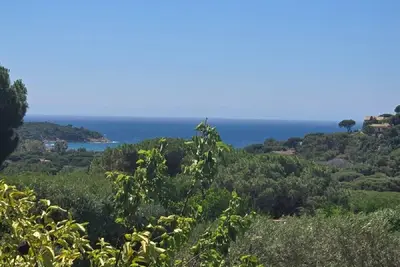 Image de Villa dans les hauts de Gigaro, entre mer et pins