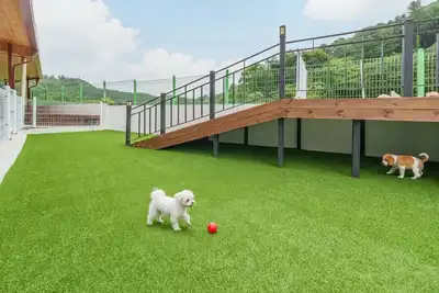 Image de Gapyeong Nature Pension