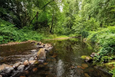 Image de Cedar Creek Cabin • Mt Hood Access • Peaceful