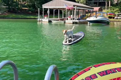 Image de Pet Friendly home with enclosed yard, hot tub, 2 Kayaks, 2 SUPs & inflatables