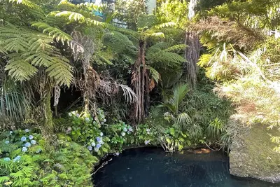 Image de Magical river retreat with private swimming hole.