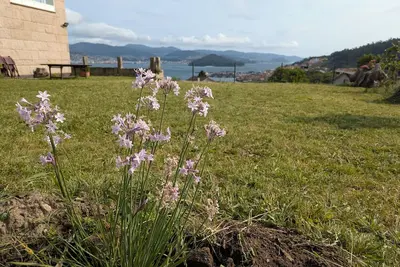 Image de Combarro Vista