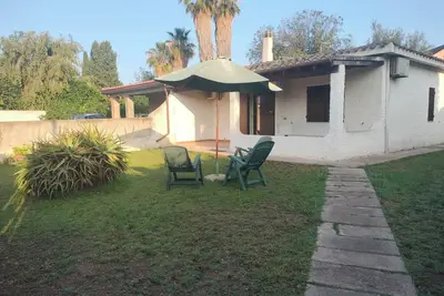 Image de Bougainville Bianco