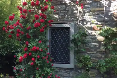 Image de Enchanting two stone villas in the heart of Tuscany-Tastefully maintained