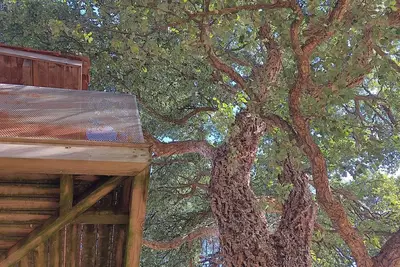 Image de Maison à Capbreton – Grand jardin arboré, au calme, proche plages et forêt