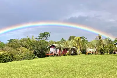 Image de Puna Rainforest Retreat Hotspring - Purple Passion Cottage