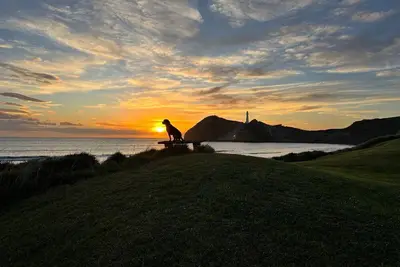 Image de Waiwhare On The Beach (beachfront property with direct beach access)