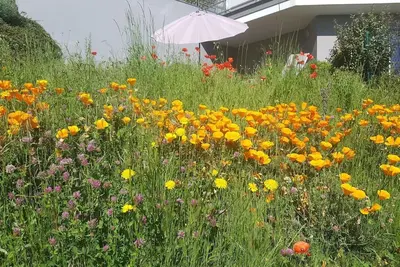 Image de Horizon feng shui - grand appartement avec vue et jardin