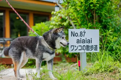 Image de Natural hot spring rental villa aiaiai Dog walking / Kattagun Miyagi