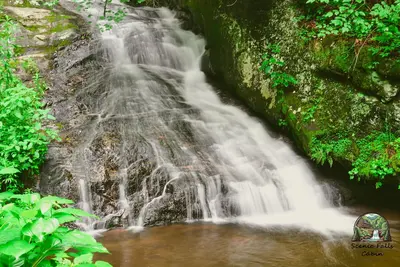 Image de Scenic Falls Cabin - Luxury Retreat w/ Private 65’ Waterfall & Natural Pool