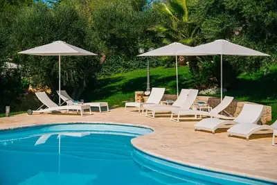 Image de A Pearl In The Green - Olive Suite