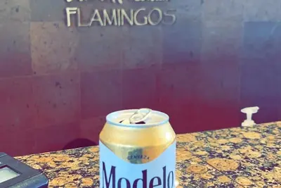 Image de 2-bedroom family-friendly ocean view condo in Riviera Nayarit with spa, Wifi