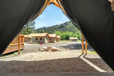 Image de Glamp 11- Red Tailed Hawk