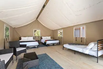 Image de Glamp 9- Hummingbird