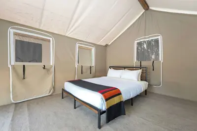 Image de Glamp 16- Purple Coneflower