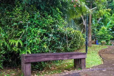 Image de Sea View  2-bedroom townhome in lovely Montego Bay with fitness room, WiFi