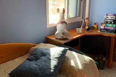 Image de Complete house with views and leisure space