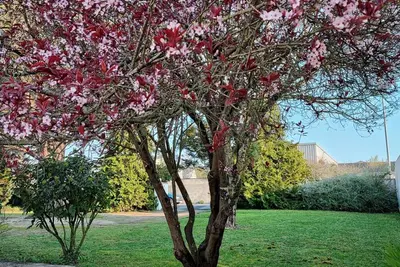 Image de Charmante Et Agreable Maison Proche Ocean Dans Un Ecrin De Verdure