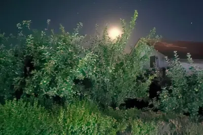 Image de Charming 1-bedroom chalet in marvelous Mh with WiFi