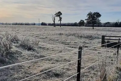 Image de Country Cabin / Self-contained / 2-Bedroom / Heart of the Oxley Wild Rivers