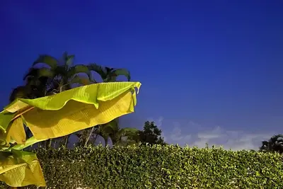 Image de Tropical Oasis in Puerto Rico! 5br Family Retreat w/ Private Pool & Lush Yard!