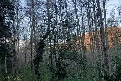 Image de El roble cabins