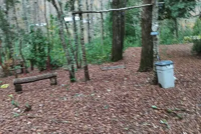 Image de El roble cabins