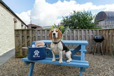 Image de Super dog friendly barn conversion - sleeps 6 plus unlimited dogs