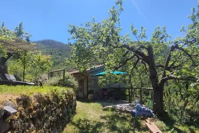 Image de Tiny Rustico Casa Lucertola avec Outdoor cuisine & piscine. Pets welcome!