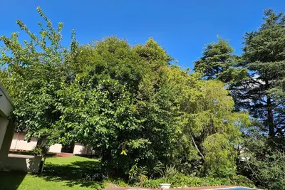 Image de 3-bedroom apartment in peaceful Sandton with WiFi, Ac