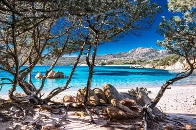 Image de Casa indipendente nel cuore della Costa Smeralda - Comfort per famiglie e gruppi