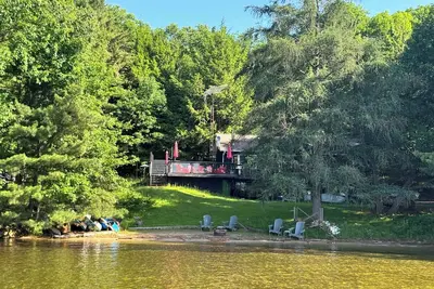 Image de Driftwood on Rosseau