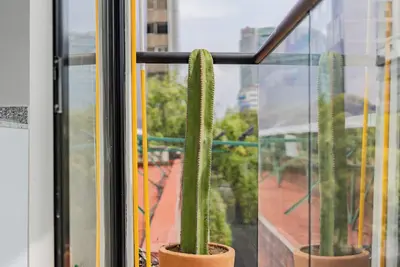 Image de Vh | Condesa Depa | 2 Bedrooms & balcony | 281