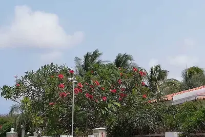 Image de Aruba Daniela 1 bedroom and sofa bed