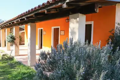 Image de Farmhouse nestled in a cork oak forest with boungalows. Pets allowed