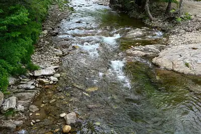 Image de Charming and cozy 3-bedroom cabin featuring WiFi, and endless river frontage.