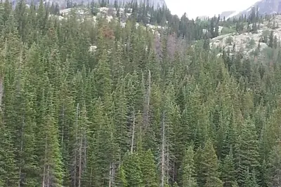 Image de Lovely 3-bedroom house in Dickinson with WiFi, Ac