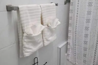 Image de Blue Turtle 3