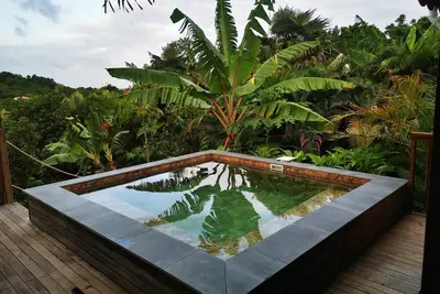 Image de L’Horizon des Balisiers