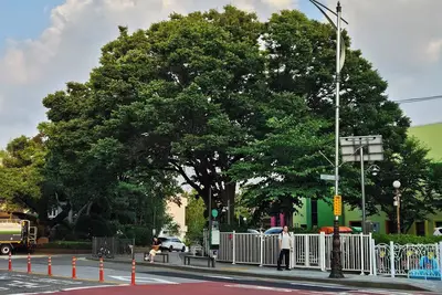 Image de 서울 도심 대형숙소, 가족/단체여행 최적. \n핵심 관광지와 도보이용 가능.