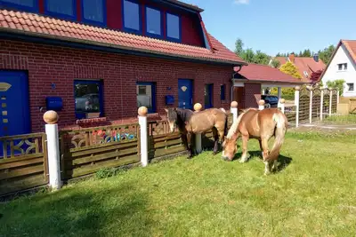 Image de New Comfortable vacation home145m² garden/barbecue area, 800m² playground, leisure park